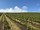 Central Valley Harvest Celebration—General Public - View 1